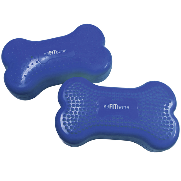 http://www.aocpet.com/cdn/shop/products/FitPAWSMiniK9FITbone-SkyBlue-DogPhysicalTherapyEquipment_600x.png?v=1657214231