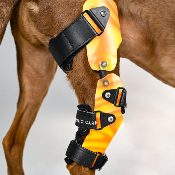 Stifle knee store brace for dogs