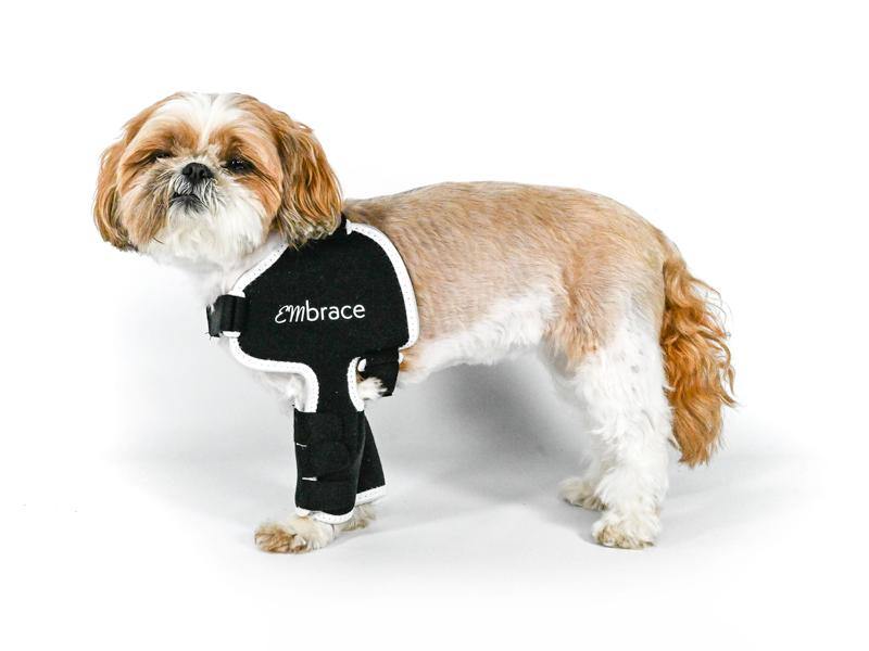 Dog shoulder sales brace for arthritis