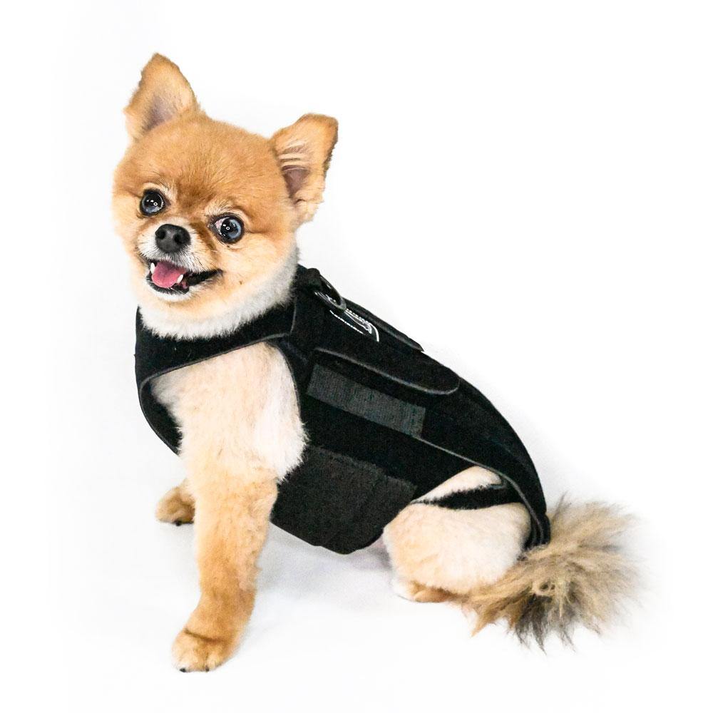  Dog Back Brace for IVDD, Back Brace Comfortable Full Body Harness  Dog Clothing Dog Back Protector M : Pet Supplies