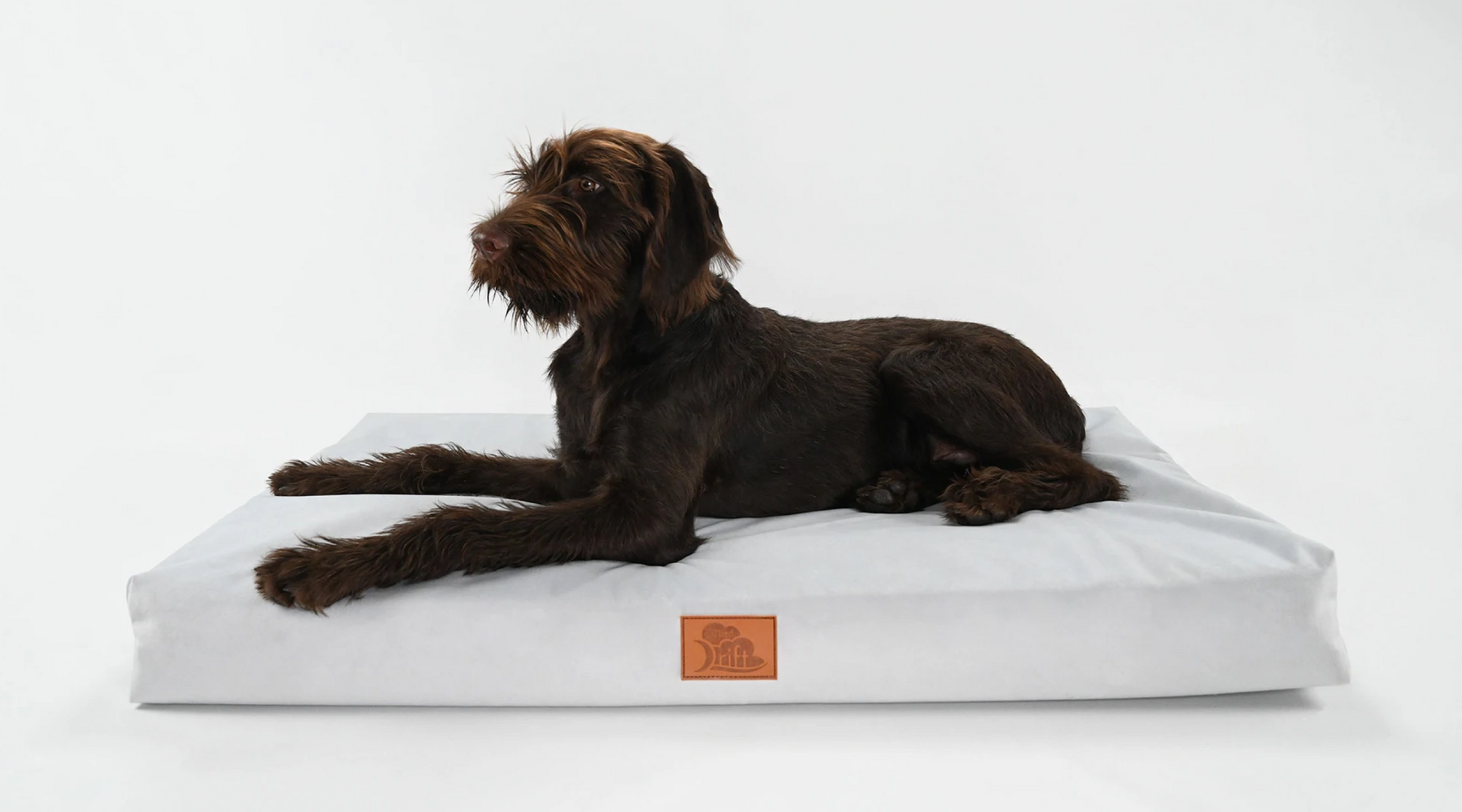 Ortho hotsell pet bed