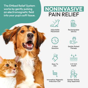 EMbed Relief System - Blanket with EM Technology | Pet Pain Relief