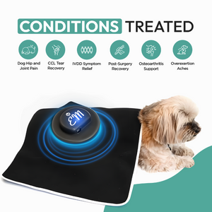 EMbed Relief System - Blanket with EM Technology | Pet Pain Relief