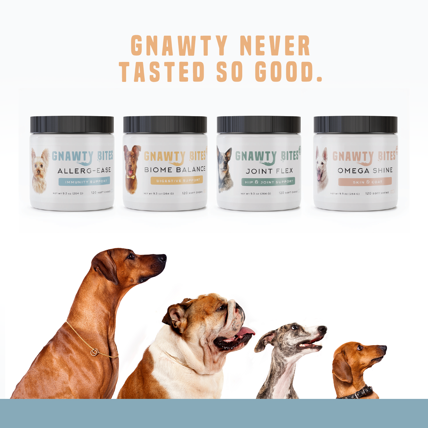 Gnawty Bites Omega Shine Skin Coat Dog Supplement Animal