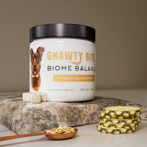 Gnawty Bites - Biome Balance - Digestive Support - Probiotic & Digestive Enzymes