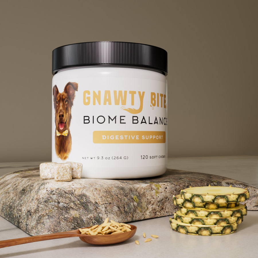 Gnawty Bites Biome Balance Digestive Support 