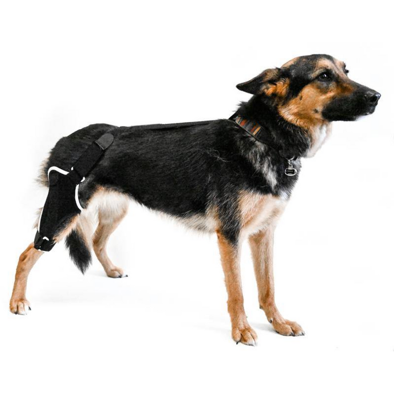 EMbrace Orthopedic Supports - Animal Ortho Care