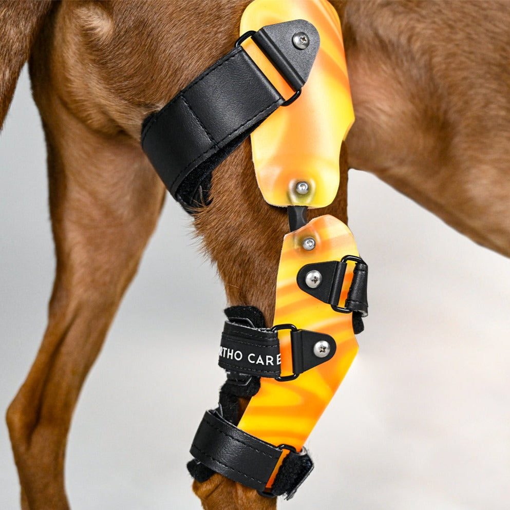 Dog braces and orthotic devices