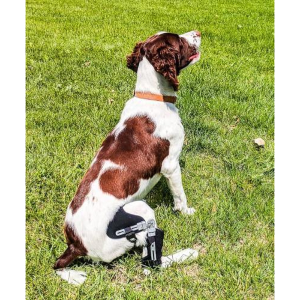 Performance Dog Knee Brace | CCL-ACL Stifle | Dog Rear Leg Brace ...