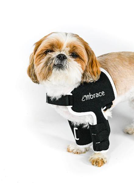 Dog sales shoulder harness